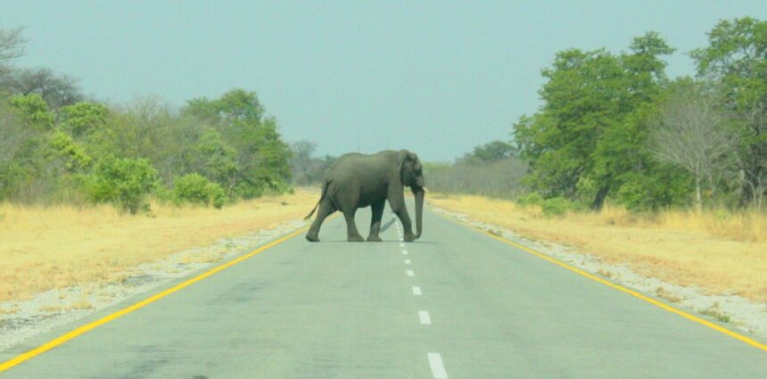 Buffer fences mooted to curb accidents