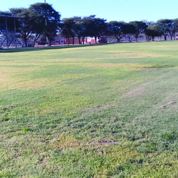 Ueitele: Legare recovery progressing well 