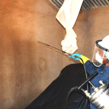 Northern malaria cases drop 