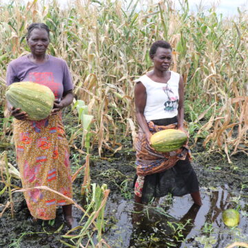 Pula itibisa masimu aba Nankuntwe
