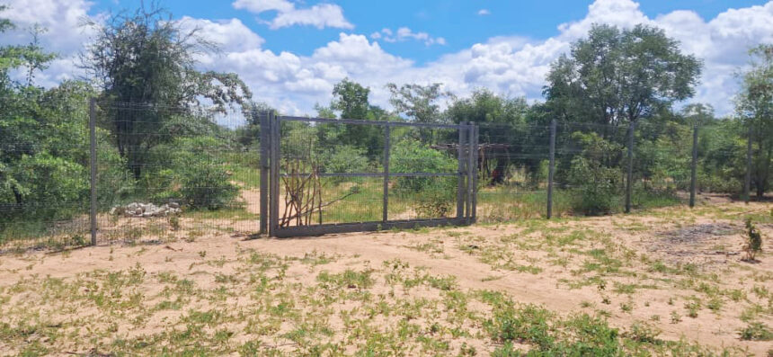 Nkurenkuru hospital still on cards