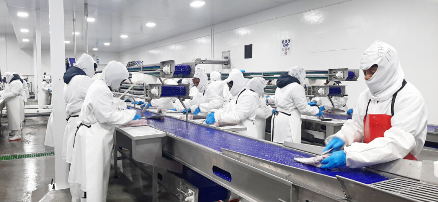  ‘ǂHanuo! nâ sîsens’ ge ǁau!khōs ǂharugub !nâ hâ … ǂHanub ǂgui miljundi !nÂ HÂ marisa ra  ǂoa! NÂ ǂHÂbasa tamase ra !khŌhe !gamhuriǁuib ǁaun tsî ǀnîn !aromase