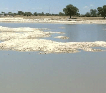 Omeva a twaalela eemwenyo nhee mexuliloshivike 