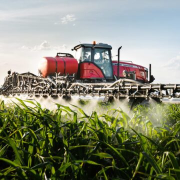 Namibia imports cereal grains worth N$862.9m …as local production slumps