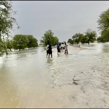 Taku kongwa ovakwanedimo vanakuxulifila momeva  