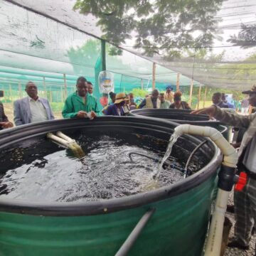 Aqua Hans Seidel Foundation secures aquaponics system for DAPP