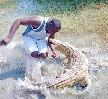 Residents warned against toying with stray crocodiles