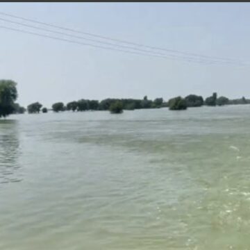 Vatatu va xulifa komeva mexuliloshivike  