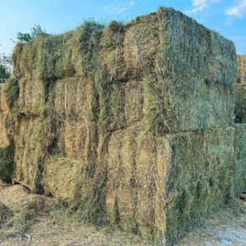 Farmers’ Kraal – High time for Namibia to create own fodder market