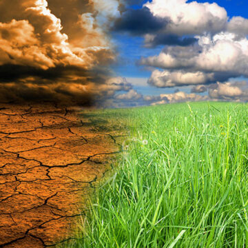 Farmers’ Kraal – Rangeland productivity, utilisation and degradation 