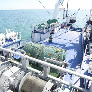 Cold water poured over illegal fishing claims 