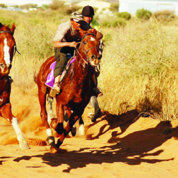 Nujoma to be honoured with horseracing bash