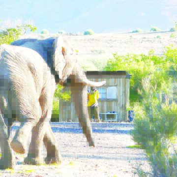 Khoen tsî !aubǀgurun ǁaegu ra hâ !omgudi ge ra ǂharo 