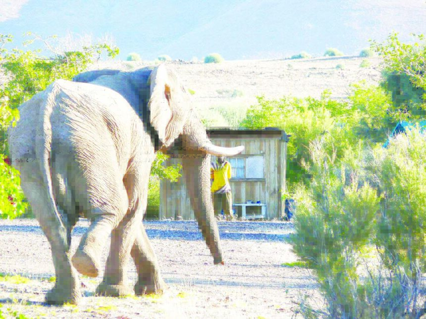 Khoen tsî !aubǀgurun ǁaegu ra hâ !omgudi ge ra ǂharo 