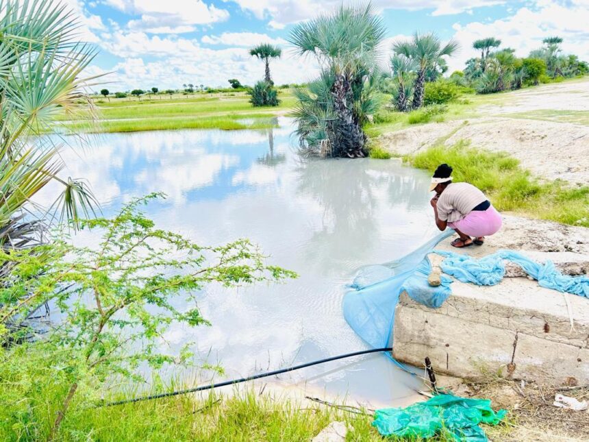 Omeva a eta oshivelelwa nongeshefa