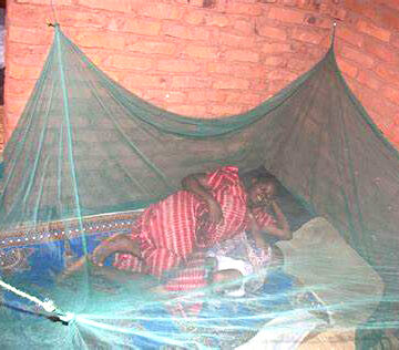 Malaria Oshikoto faces rising malaria cases