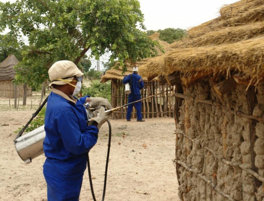 Malaria Zambezi’s malaria crisis …Cases surge past 11 000