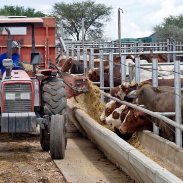 South Africa remains Namibia’s top export market …despite a 29.72% decrease 