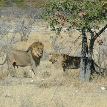 Disregarded tourism laws irk ministry