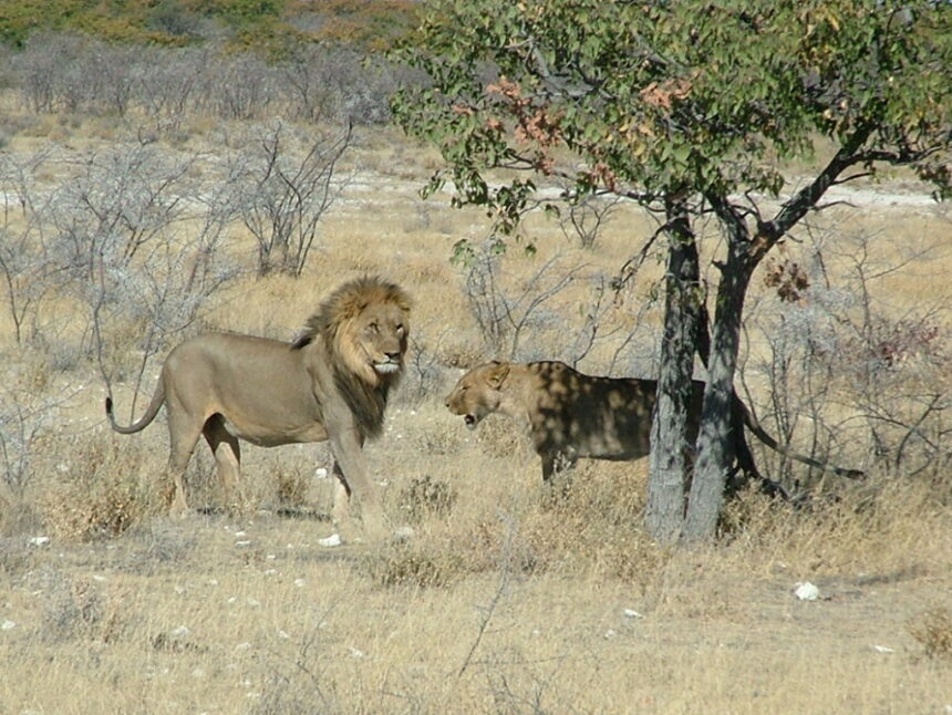 Disregarded tourism laws irk ministry