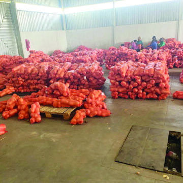 Sikondo target full production capacity: Nghidinwa