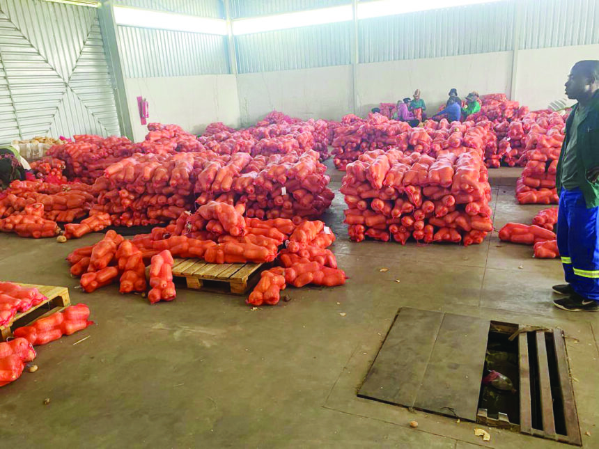 Sikondo target full production capacity: Nghidinwa