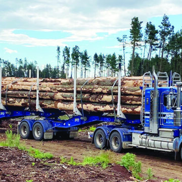 Trump Trump orders tariff probe on lumber, calls for supply boost