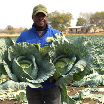 Oongoloneya ta ya hwahwameke uunamapya