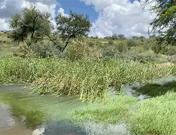 Windhoek floods claim two lives