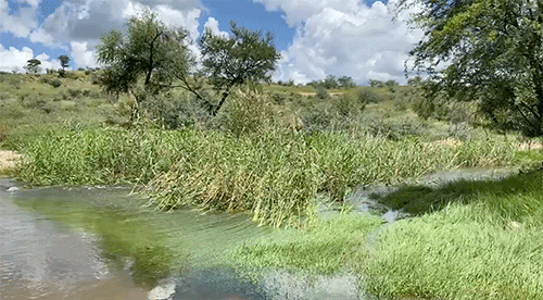 Windhoek floods claim two lives