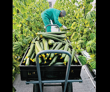 New project aims to boost transparency in green economy 