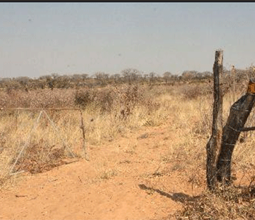 Land board targets illegal fences in Tsumkwe, Okakarara
