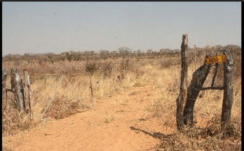 Land board targets illegal fences in Tsumkwe, Okakarara