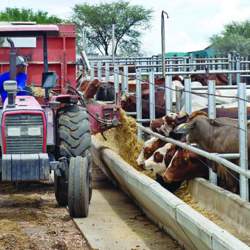 Resettled farmers want Agribank loans increased to N$1 million