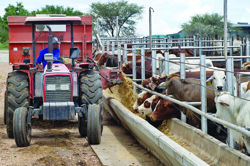 Resettled farmers want Agribank loans increased to N$1 million