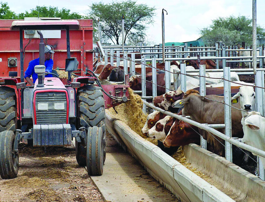 Resettled farmers want Agribank loans increased to N$1 million