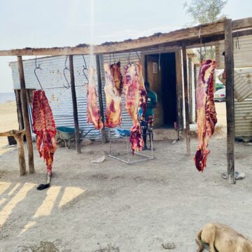 Omalelo opamufyuululwakalo a lulilwa koulunga woimuna