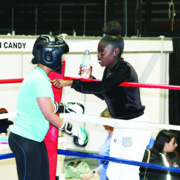 Teachers to gain valuable boxing skills