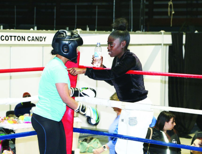 Teachers to gain valuable boxing skills