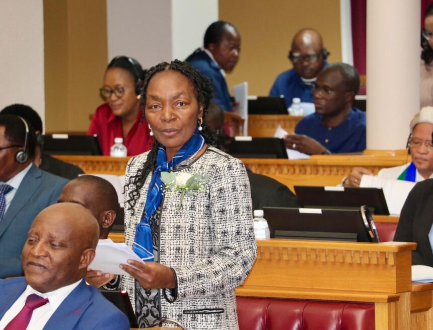 N$12.8 bn allocated for developmental projects