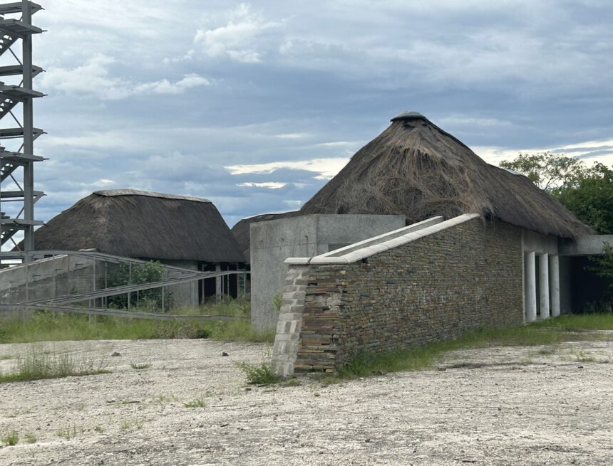 Crocodile AR welcomes revival of Kongola idle crocodile project