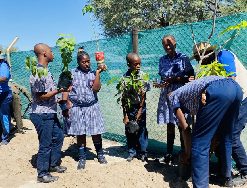 Eluwa Garden Eluwa la tota po oshikunino