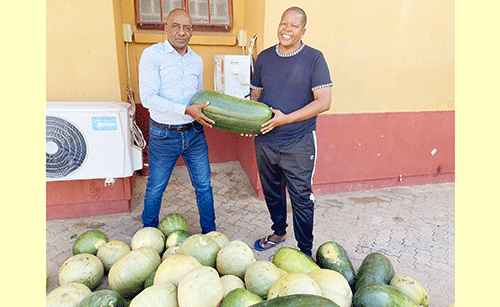 Farmers aid hunger-stricken Gobabis residents