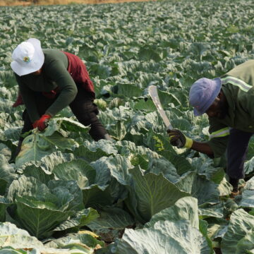 Farmers’ Kraal – The importance of developing a crop management plan