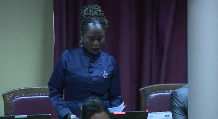 Nanyeni: Debt must fund development, not consumption