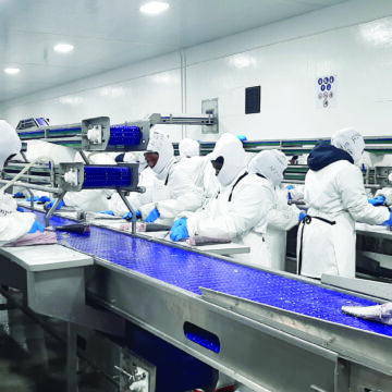 ‘Govt can’t be referee & player’ …fishing industry reject govt objective quota   