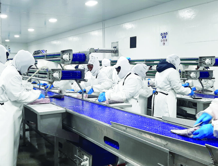 ‘Govt can’t be referee & player’ …fishing industry reject govt objective quota   