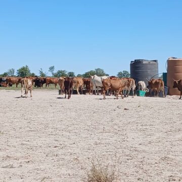 Eengobe 12500 da tunhilwa komukifi wombulwa