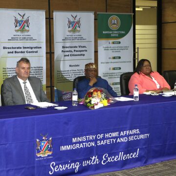 E-visas generate N$19m in 30 days