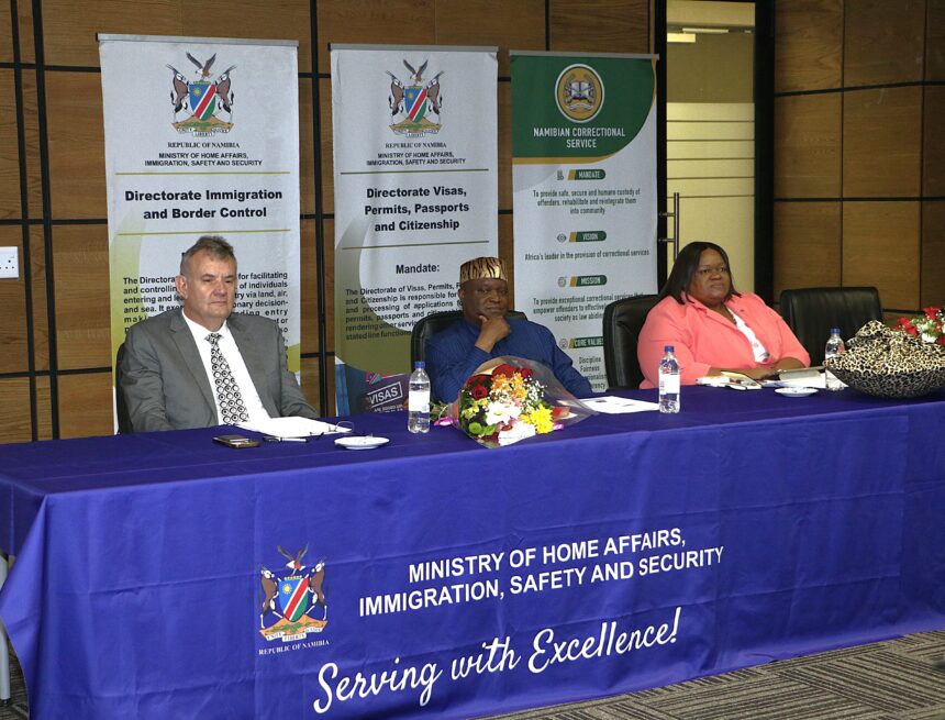 E-visas generate N$19m in 30 days